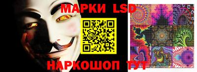 тгк Владивосток