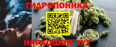тгк Владивосток